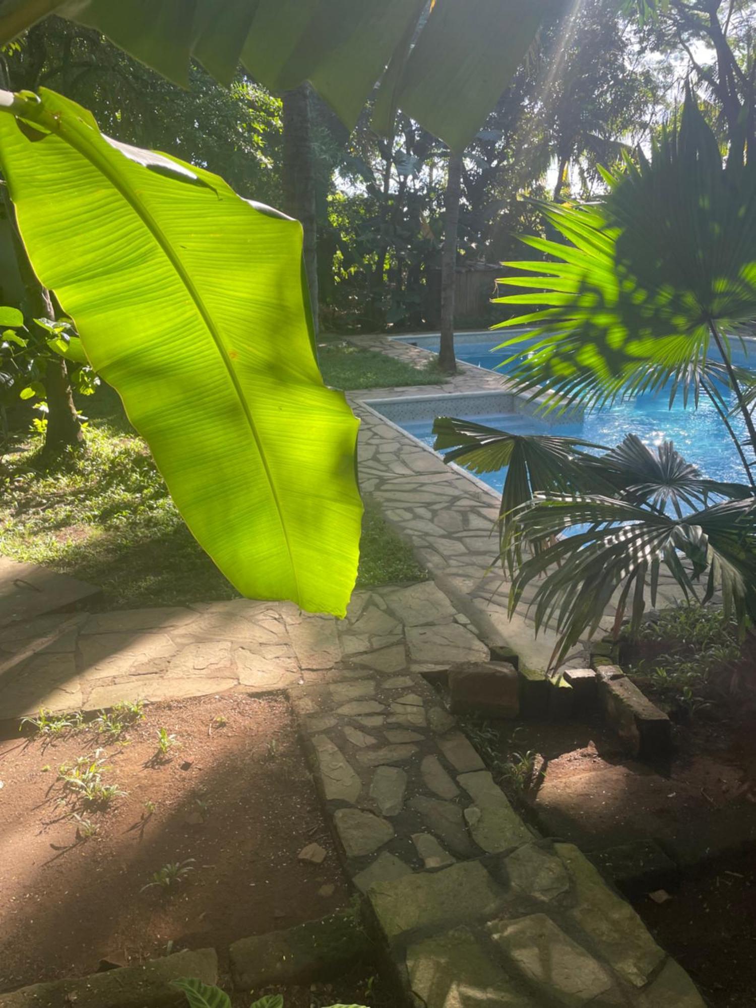 Hostal Casa Abierta León Eksteriør billede